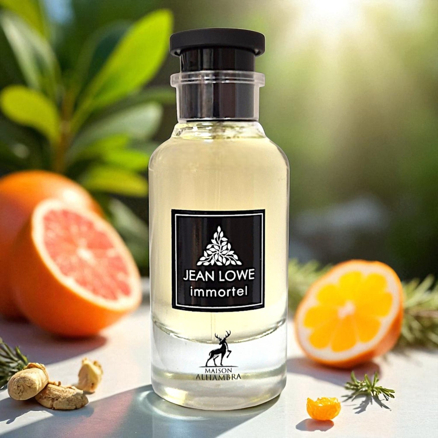 Jean Lowe Immortel — Frescura elegante que impacta