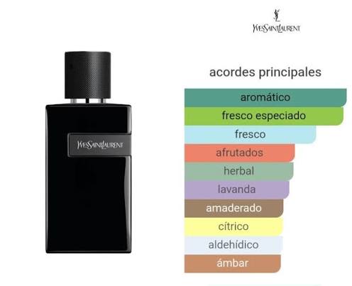 Y Le Parfum — El aroma de los hombres exitosos